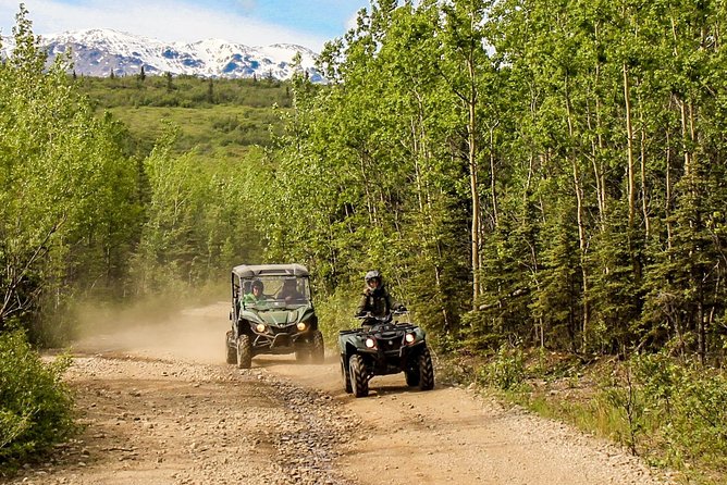 2.5-Hour Denali Wilderness ATV Adventure Tour - Guides drive the experience: safety plus local stories