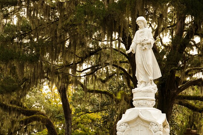 2-Hour Bonaventure Cemetery Walking Tour - Rain or shine: umbrellas, bugs, and what to pack
