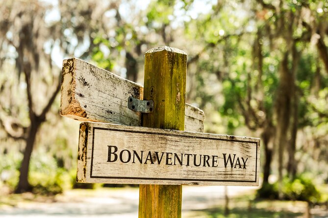 2-Hour Bonaventure Cemetery Walking Tour - Meeting point, parking, and the walking pace you should plan for
