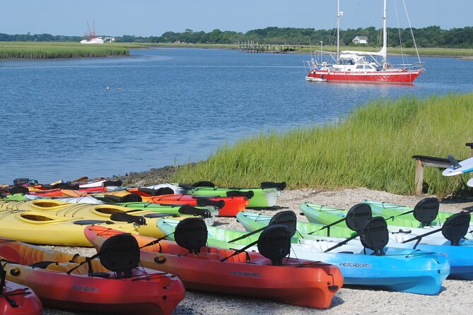2-Hour Guided Kayak Eco Tour in Charleston - Pacing, Wind, and Why This Is Relaxed by Design