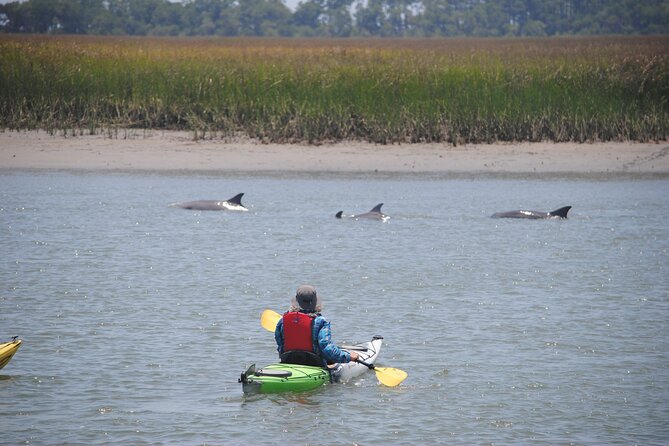 2-Hour Guided Kayak Eco Tour in Charleston - Which Type of Tripper Should Book This