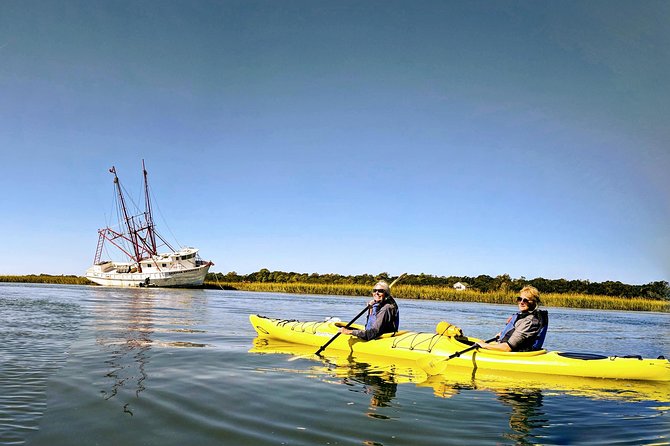 2-Hour Guided Kayak Eco Tour in Charleston - Should You Book This 2-Hour Guided Kayak Eco Tour in Charleston?
