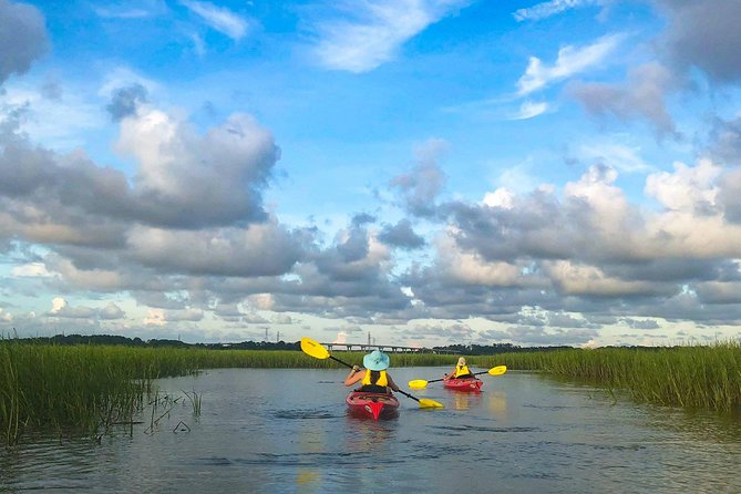 2-Hour Hilton Head Guided Kayak Nature Tour - Broad Creek salt marsh kayaking: why this route works