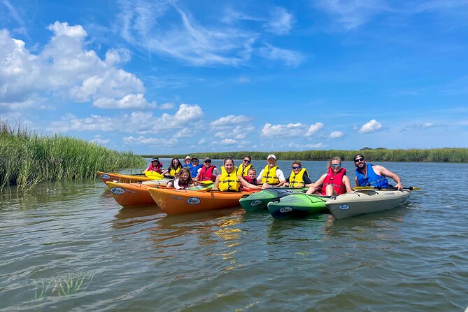 2-Hour Hilton Head Guided Kayak Nature Tour - What wildlife you can realistically hope to see