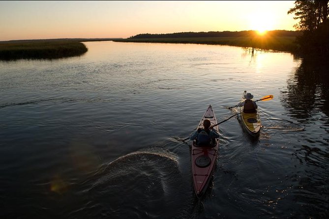 2-Hour Hilton Head Guided Kayak Nature Tour - Gear, clothing, and effort level: keep it simple