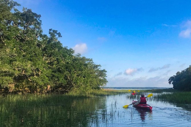 2-Hour Hilton Head Guided Kayak Nature Tour - Price and value: is $47 worth it here?