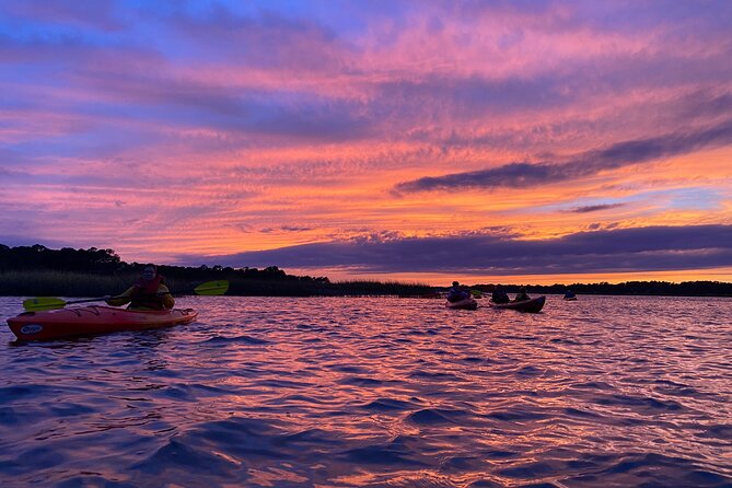 2-Hour Hilton Head Guided Kayak Nature Tour - Who this kayak nature tour fits best