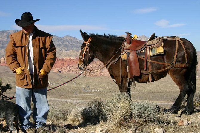 2-Hour Horseback Riding through Red Rock Canyon - The 2-hour trail ride: rim-edge views, plants, and photo stops