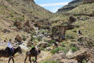 2-Hour Horseback Riding through Red Rock Canyon - Price and value: what $149 covers (and why it feels fair)