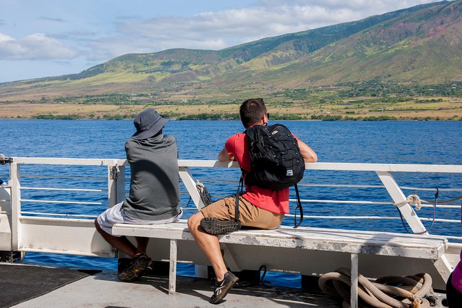 2-Hour Oahu Whale Watch from Ala Wai Harbor, Waikiki - On-Water Stops: Waikiki Beach and Diamond Head from the Sea