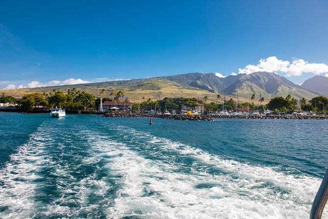 2-Hour Oahu Whale Watch from Ala Wai Harbor, Waikiki - Comfort Tips for Choppy Water: What to Bring and How to Ride It Out