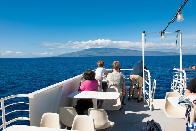 2-Hour Oahu Whale Watch from Ala Wai Harbor, Waikiki - Price and Value at $49.95: What You’re Paying For