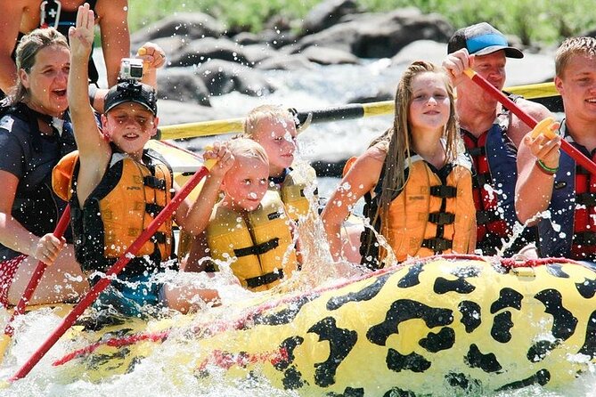 2 Hour Rafting on the Yellowstone River - Price and Value for 2 Hours on the River
