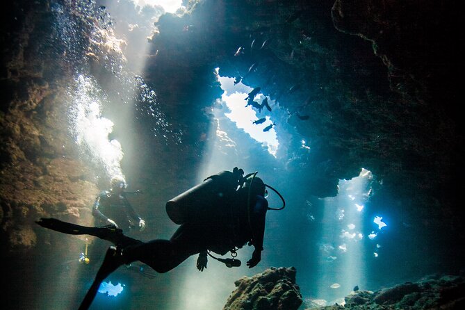 2 Tank Lanai Cathedral Scuba Dive Via Boat for Certified Divers - Key points before you go