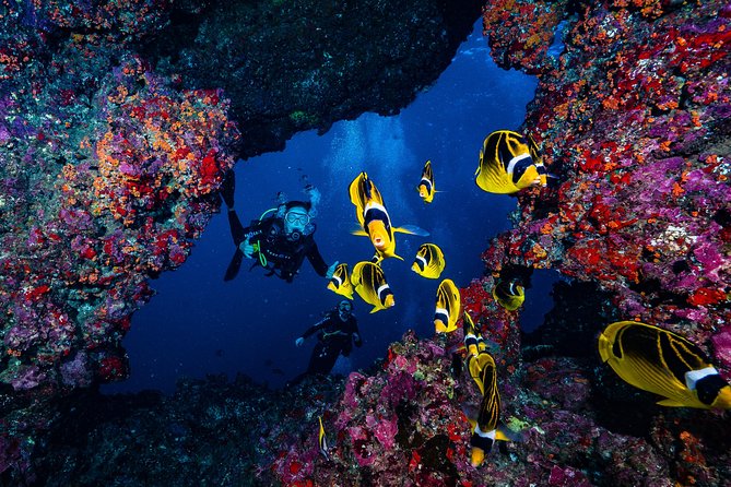 2 Tank Lanai Cathedral Scuba Dive Via Boat for Certified Divers - Why Lanai’s Cathedral sites are worth the early start