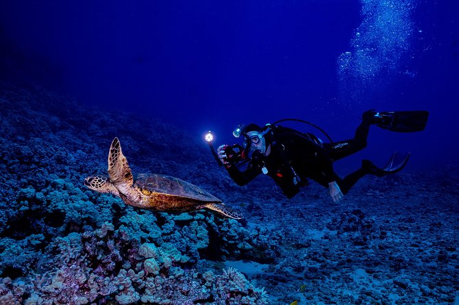 2 Tank Lanai Cathedral Scuba Dive Via Boat for Certified Divers - Cathedrals, caverns, and the kind of “structure swim” you can’t fake