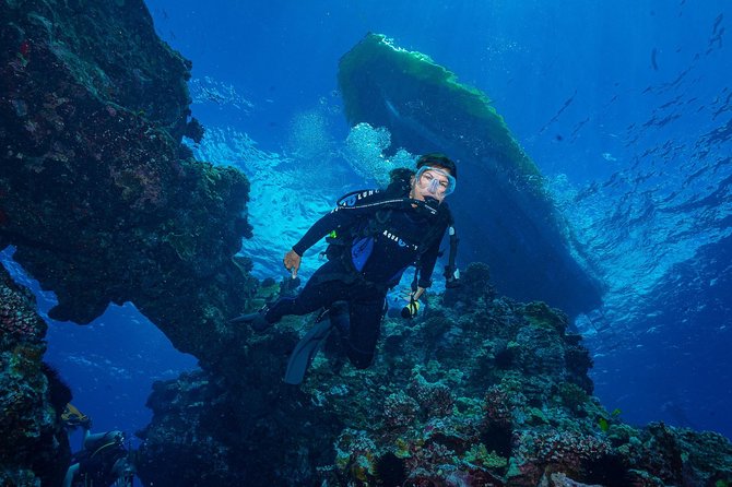 2 Tank Lanai Cathedral Scuba Dive Via Boat for Certified Divers - Small-group touring: what “max 14” means day-of