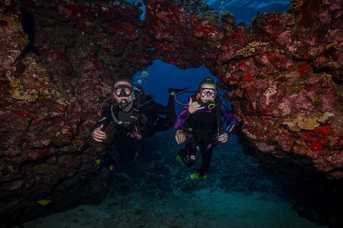 2 Tank Lanai Cathedral Scuba Dive Via Boat for Certified Divers - Visibility and conditions: when the water cooperates and when it doesn’t