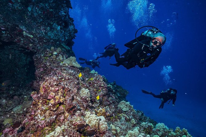 2 Tank Lanai Cathedral Scuba Dive Via Boat for Certified Divers - Price and value: is $306.89 a fair deal?