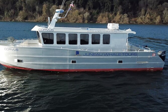 3.5 Hour Crowd-Skipping Whale Tour in Juneau, Alaska - Key things I’d plan around before you go