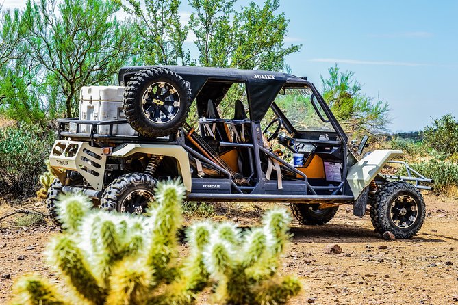 3 Hour Guided TomCar ATV Experience in Sonoran Desert - How rough is it? The real comfort check