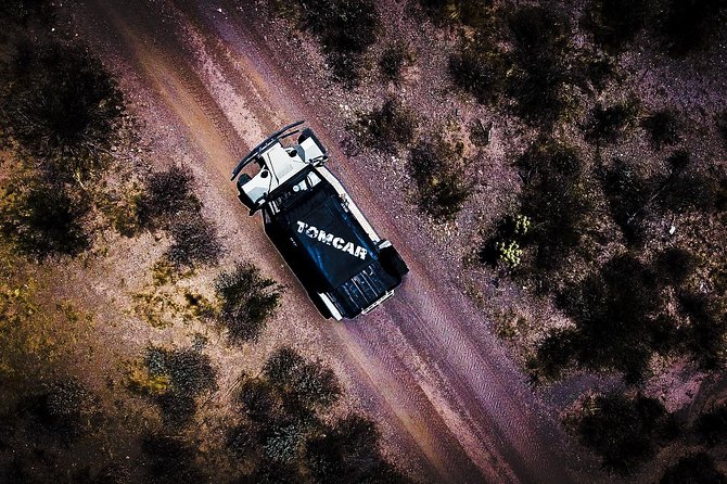 3 Hour Guided TomCar ATV Experience in Sonoran Desert - Who should book this Tomcar tour (and who should think twice)
