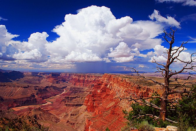3 Hour Off-Road Sunset Safari to Grand Canyon with Entrance Gate Detour - The 4WD off-road detour: forest riding and wildlife odds