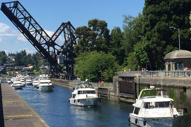 3 Hour Show Me Seattle Best Of The City Tour - The Chinatown–International District (CID): history, community, and names that matter
