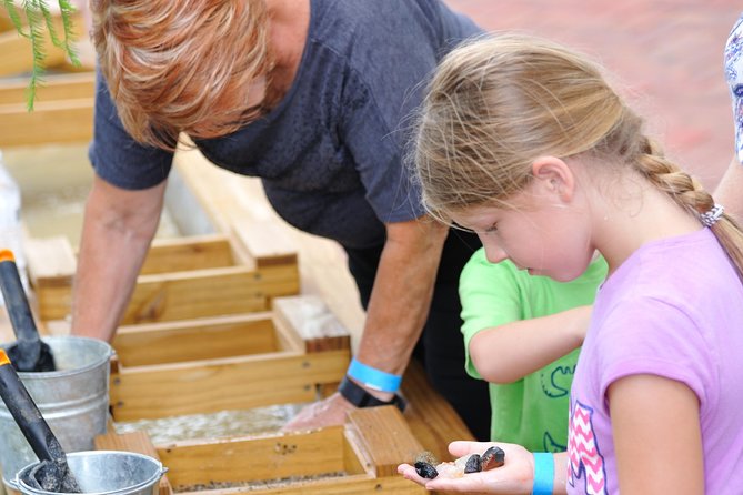 30-Minute Airboat Ride, Lunch, Gem Mining and Park Admission - Timing, group size, and what to expect on the ground
