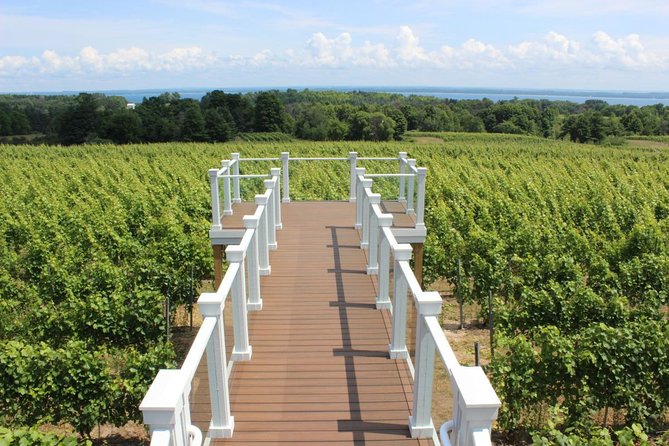 5-Hour Traverse City Wine Tour: 4 Wineries on Old Mission Peninsula - The Magic Shuttle Bus ride: comfort + a real host vibe