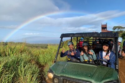 6 Dual-Zipline Mountain Adventure in Maui - Entering the Dual Zipline Course: Speed, Height, and Clear Coaching