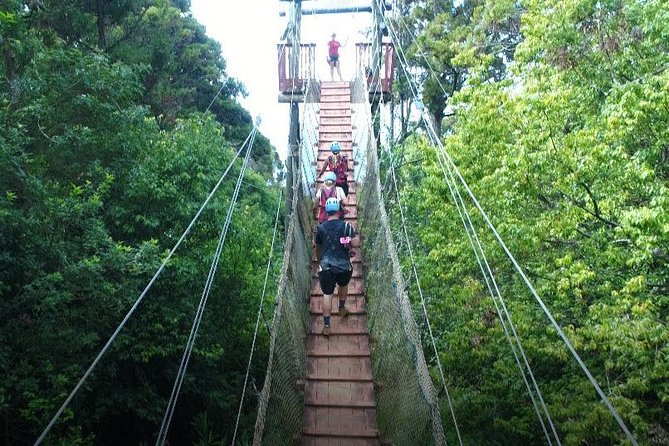6 Dual-Zipline Mountain Adventure in Maui - Hawaii’s Longest Suspension Bridge: The Scenic Walk That Changes Your Pace