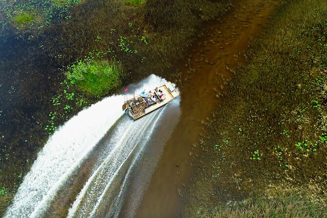 60 min. Everglades Airboat ride & pick-up ,small group +pro guide - Why This Tour Works: Fast, Guided, and Built for Real Sightings
