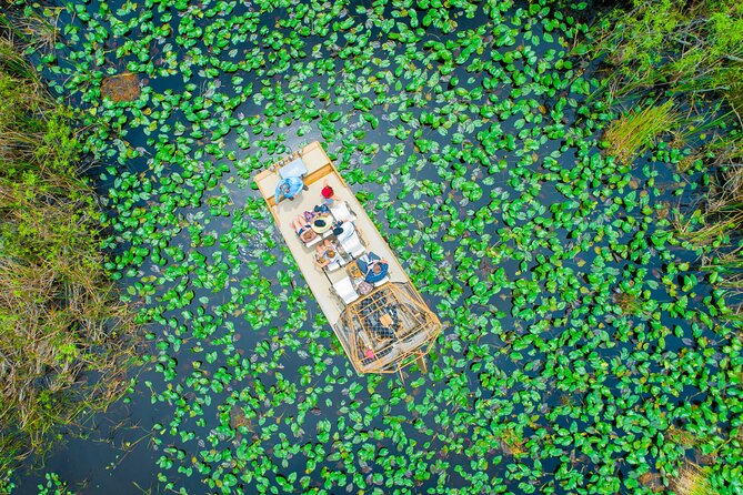 60 min. Everglades Airboat ride & pick-up ,small group +pro guide - Key Highlights You’ll Feel Right Away