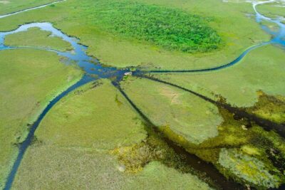 60 min. Everglades Airboat ride & pick-up ,small group +pro guide - Pickup in Miami: Where It’s Smooth and Where It Can Get Annoying
