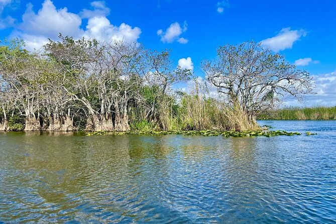60 min. Everglades Airboat ride & pick-up ,small group +pro guide - Small Group in Practice: What “Up to 25” Really Means for You