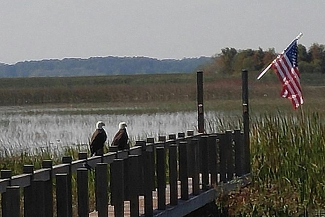 90 minute Everglades Airboat Tour near Orlando Florida - Meeting at 2830 Neptune Rd (Kissimmee): Timing Tips That Prevent Stress