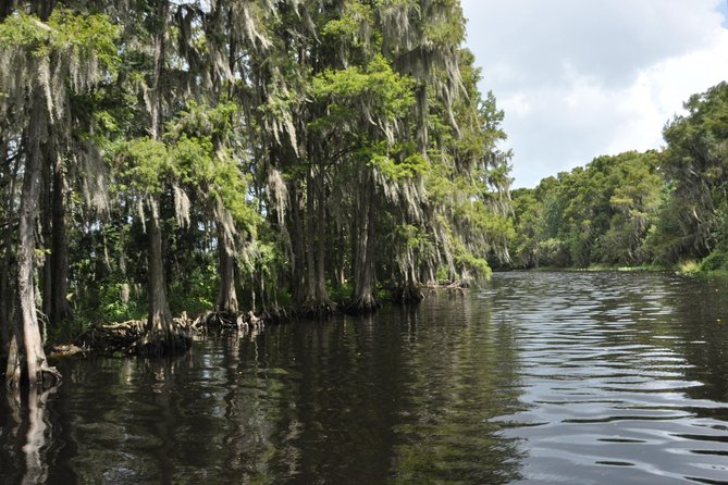 90 minute Everglades Airboat Tour near Orlando Florida - Weather and Wildlife: Dress for Wind and Cold Swamp Air