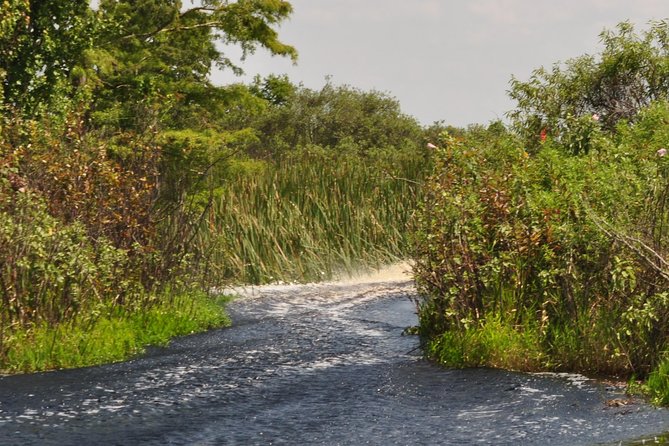 90 minute Everglades Airboat Tour near Orlando Florida - Price of $89: Is It Good Value for a Guided Swamp Tour?