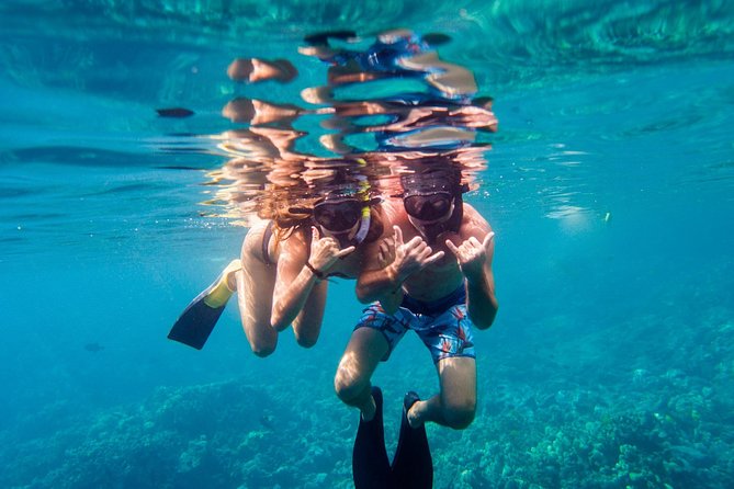 Afternoon Sail & Snorkel to the Captain Cook Monument - Crew Stories, Culture, and Dolphin Chances Along the Coast