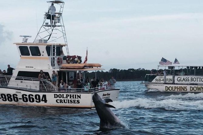 Alabama Gulf Coast Dolphin Cruise - Key highlights to know before you go