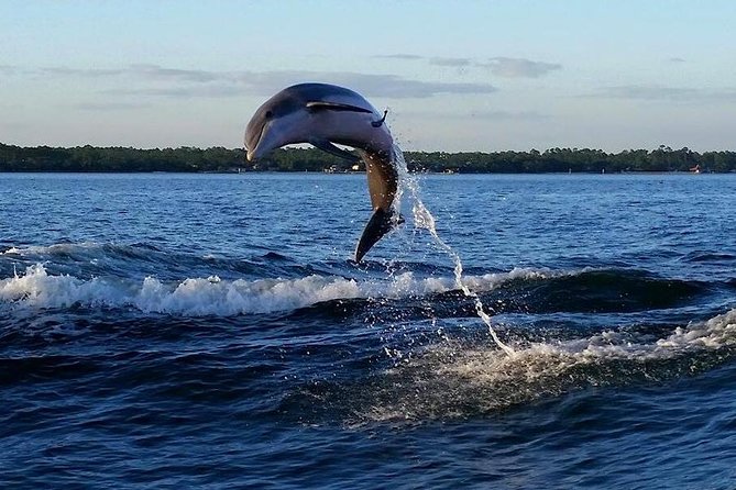 Alabama Gulf Coast Dolphin Cruise - Deck time: where you stand can shape your experience