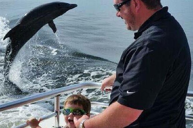 Alabama Gulf Coast Dolphin Cruise - Crew and guide vibe: what makes people want to recommend it