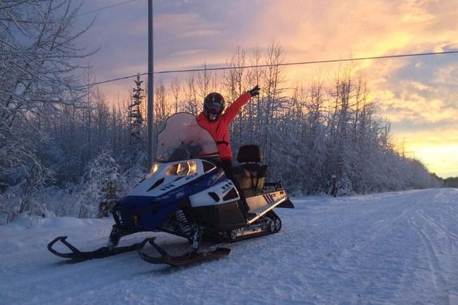 Alaska Snowmobile Adventure Tour - Alaska Wild Lights Stop: Photos, Orientation, and Setting the Mood