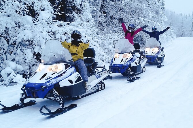 Alaska Snowmobile Adventure Tour - Chena River Lakes Recreation Area: Frozen Lakes, River Crossings, and Wildlife Chances