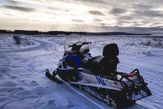 Alaska Snowmobile Adventure Tour - Who This Tour Fits Best (and Who Should Skip It)
