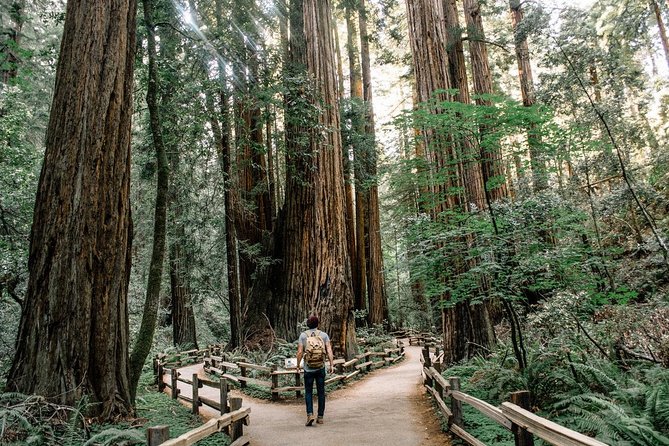 Alcatraz Tour Plus Muir Woods and Sausalito Day Trip - Muir Woods: What 90 Minutes in the Redwoods Actually Feels Like