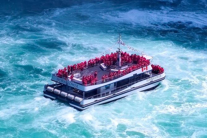 All Inclusive Niagara Falls USA Tour W/Boat Ride,Cave & Much MORE - Niagara Falls Observation Tower: panoramas from above