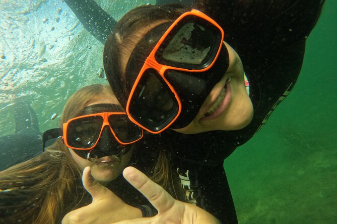 All-Inclusive Small Group Manatee Swim with Free Photos - Kings Bay manatees: what you’re actually paying for