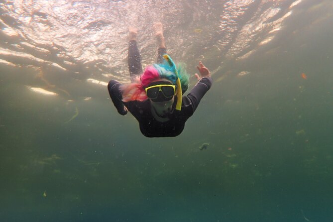 All-Inclusive Small Group Manatee Swim with Free Photos - Meeting at Nature’s Discovery: your day starts with gear and coaching